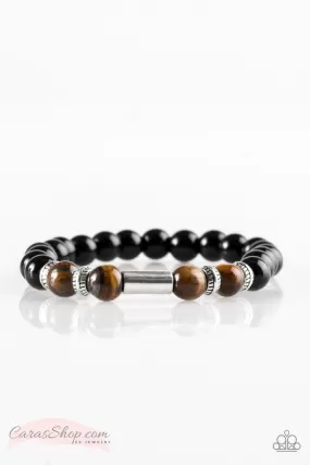 Entranced Brown Tiger Eye and Black Stone Stretch Bracelet - Paparazzi Accessories