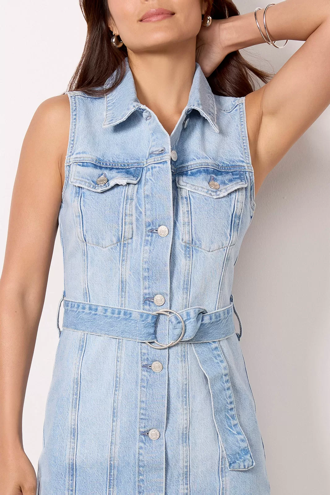 Wilshire Denim Dress