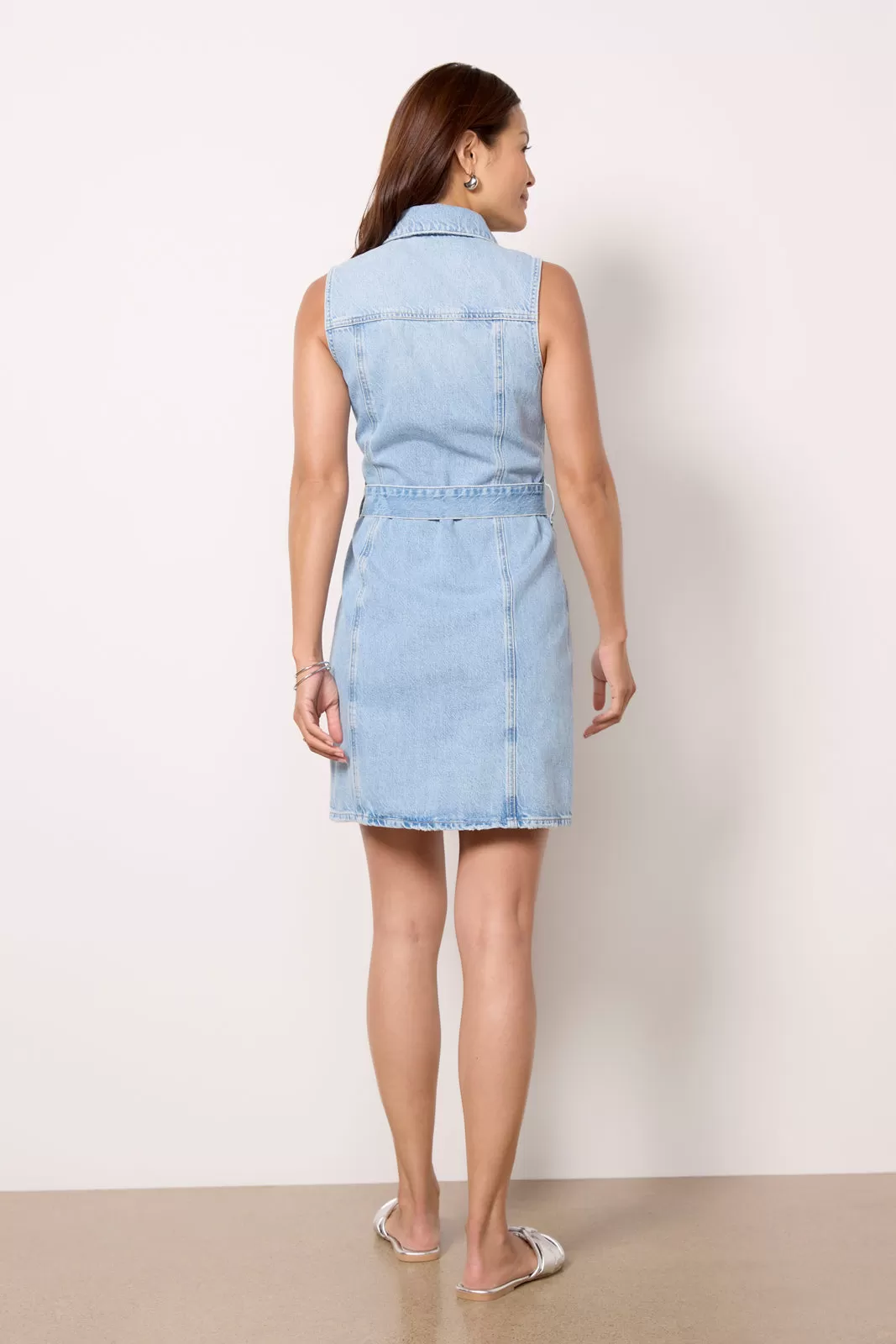 Wilshire Denim Dress